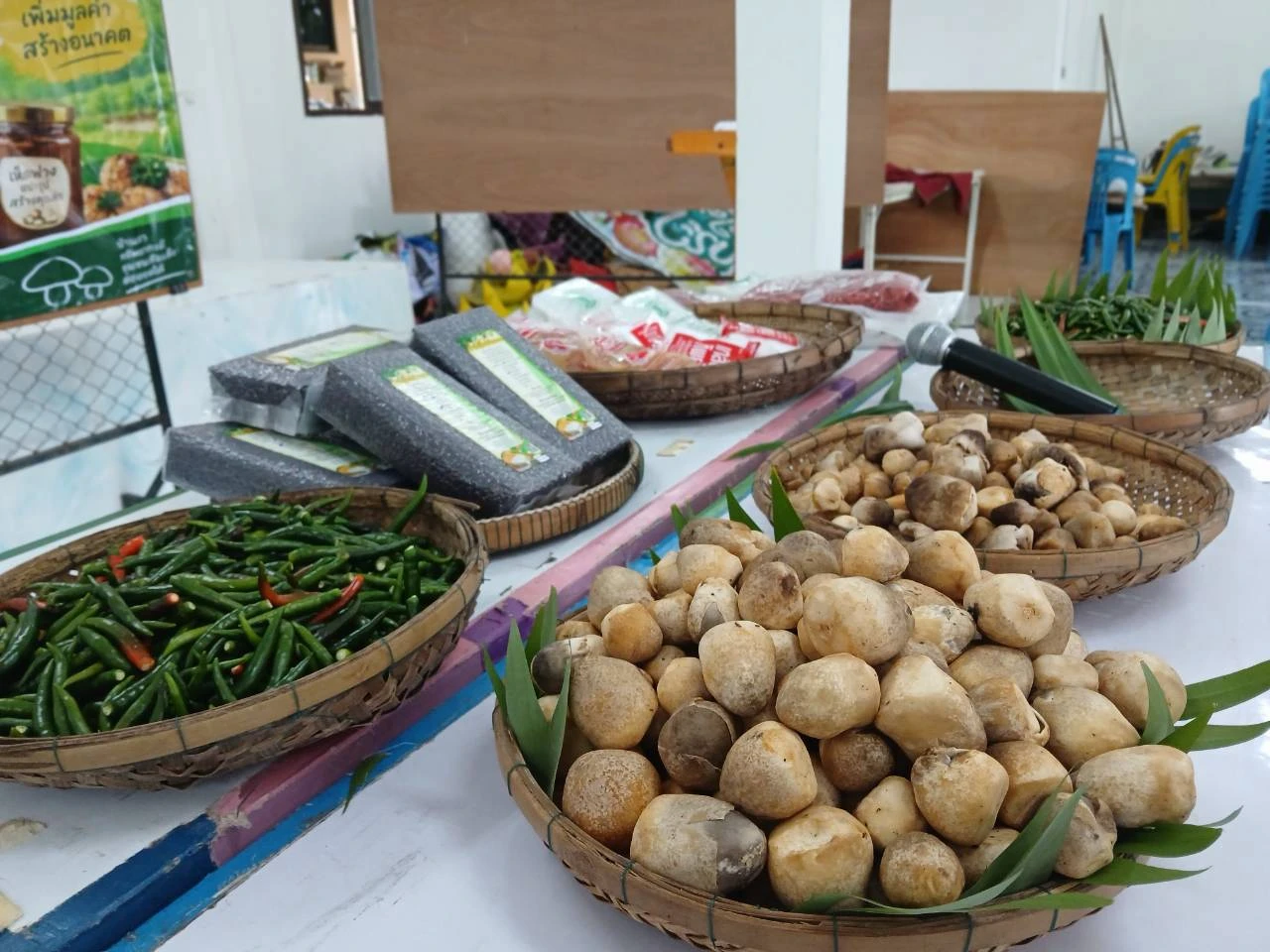 catalogs_file_187_5_45_195571.webp